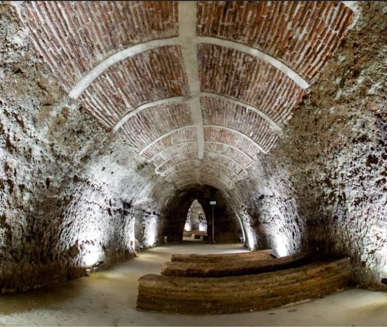 Arranca una nueva edición de ‘Bodega a Bodega’ en Nava del Rey y La Seca
