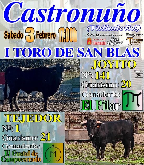 Castronuño se prepara para celebrar el «Toro de San Blas»