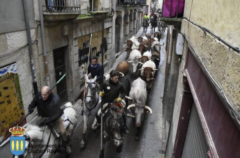 Conoce las ganaderías que darán vida al Carnaval del Toro en Ciudad Rodrigo