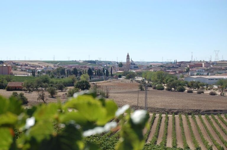 Rueda lanza un innovador concurso de fotografía en redes sociales para la Fiesta de la Vendimia D.O. Rueda 2024