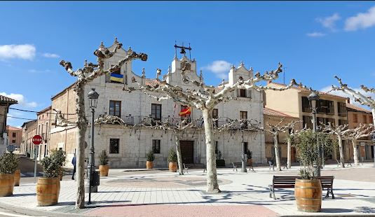 Nava del Rey anuncia una jornada para limpiar pinares y riberas del río Trabancos