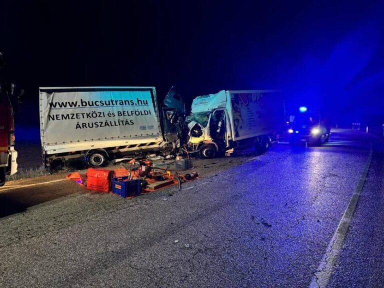 Tragedia en CL-116: Una víctima mortal y dos heridos tras brutal choque entre camiones en Monteagudo de las Vicarías