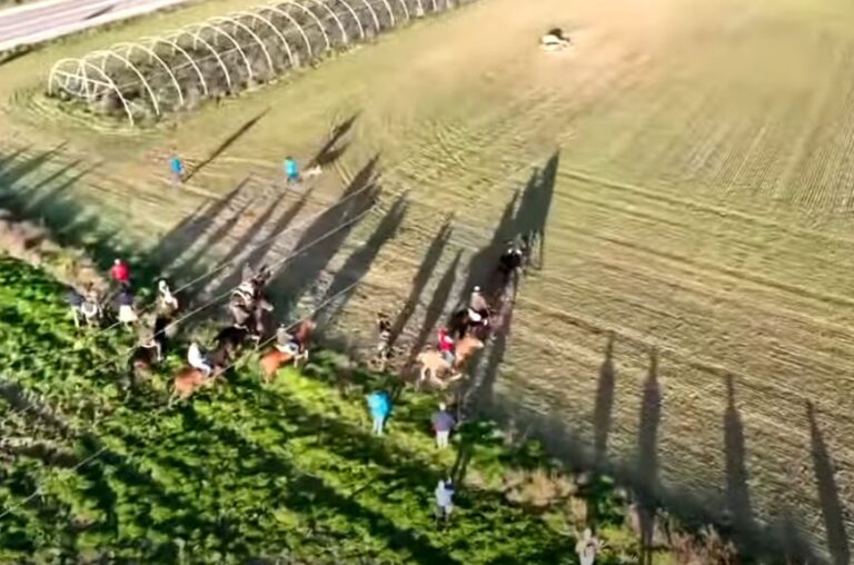Los Mejores momentos Semifinales » LXXXVI CTO DE ESPAÑA DE GALGOS EN CAMPO «