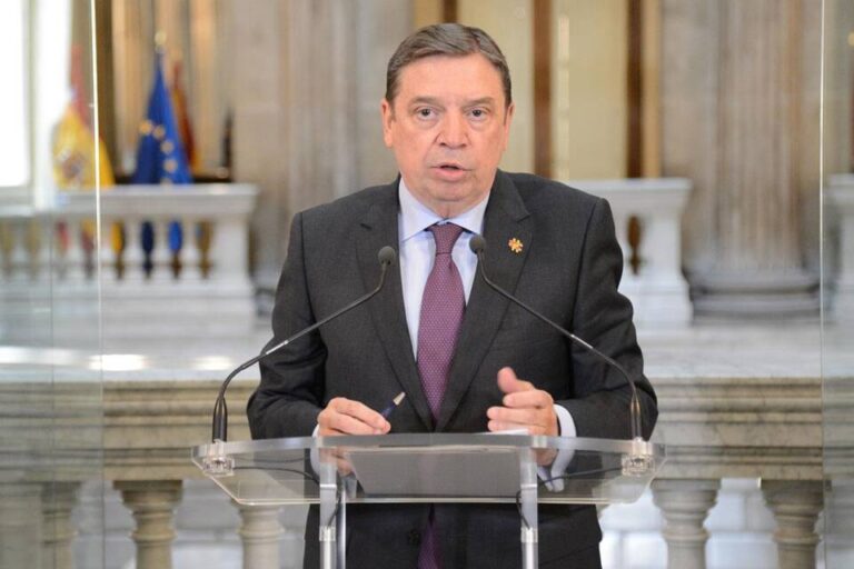 Luis Planas: El respaldo del Consejo de Ministros a la simplificación de la PAC dará seguridad jurídica a los agricultores en la campaña 2024
