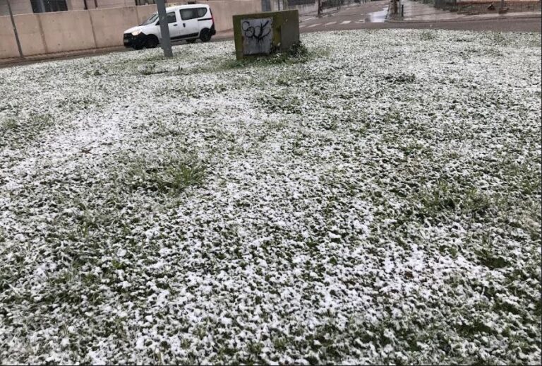 Medina del Campo bajo el hechizo blanco