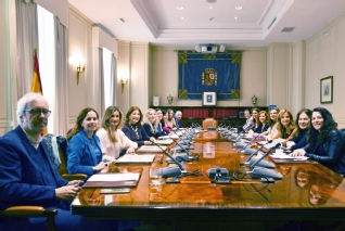 El Observatorio anuncia la puesta en marcha de la especialidad en violencia de género