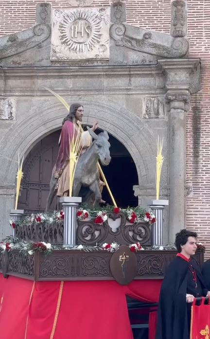 La Borriquilla y el Santísimo Cristo del Amor procesionan por las calles de Medina del Campo