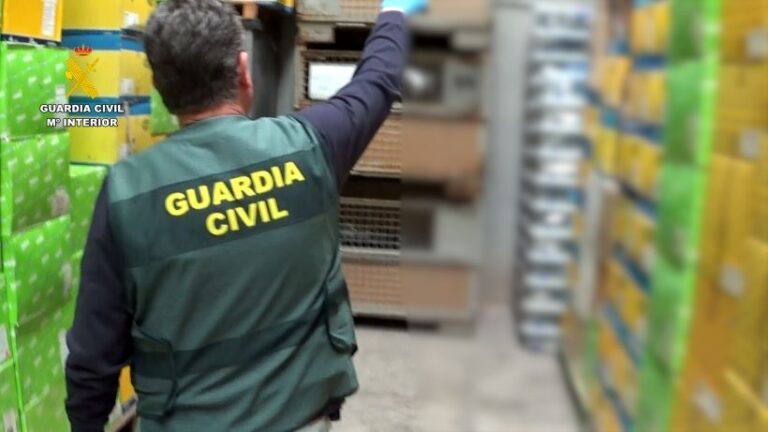 Desarticulada una banda que robaba y distribuía faros de vehículos