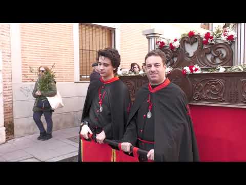Vídeo de la Procesión de la Borriquilla – Semana Santa 2024 Medina del Campo