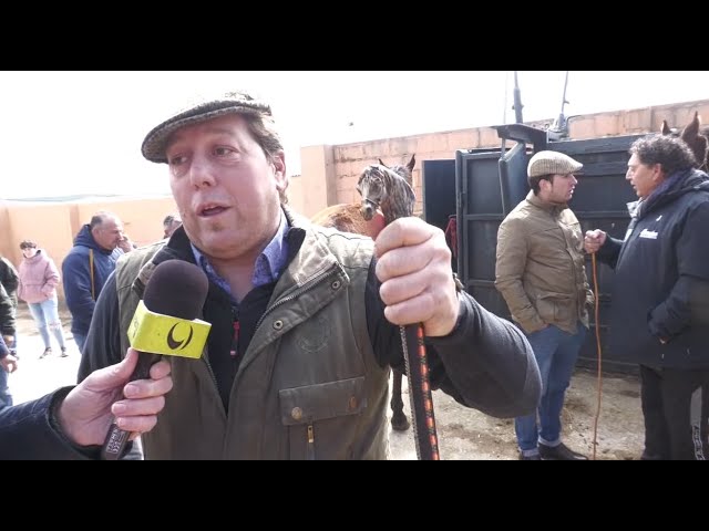 I Feria del Caballo en el Cortijo «Los Expolios» en Rueda