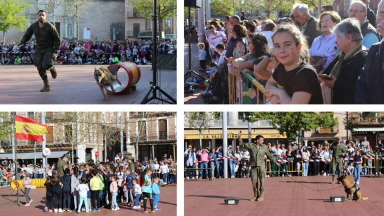 Medina del Campo aplaude la labor de los equipos caninos del Ejército de Tierra
