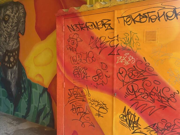 El vandalismo desluce el arte urbano de Medina del Campo