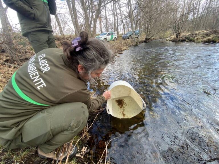 Castilla y León impulsa un proyecto para la recuperación de la náyade Margaritifera margaritifera