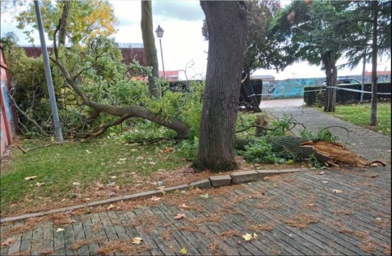 El temporal deja 894 incidencias en Castilla y León