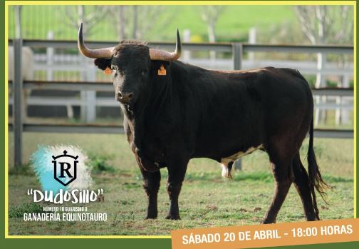La Seca presenta a ‘Dudosillo’, el Toro del Sarmiento 2024