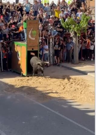 El Toro del Sarmiento vuelve a llevar la emoción a las calles de La Seca