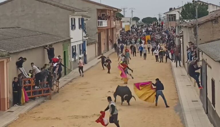 Un corneado en el Toro del Vasto de Villoria