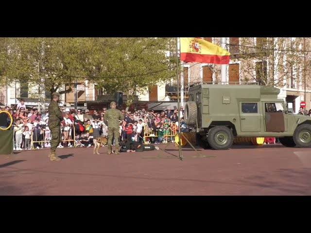 Exhibición militar canina en la plaza Mayor de Medina del Campo