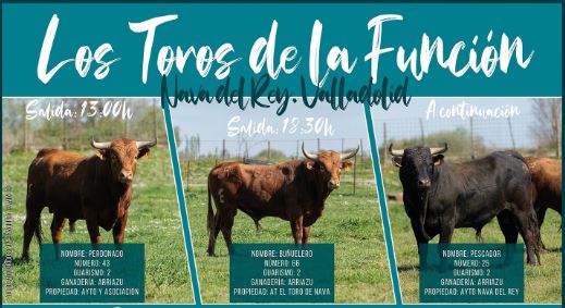 Tres ejemplares de Arriazu protagonizarán ‘Los Toros de la Función’ en Nava del Rey