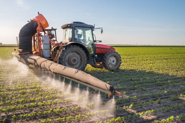La Junta reparte 831,5 millones de euros de la PAC 2025 entre más de 55.000 agricultores y ganaderos de Castilla y León
