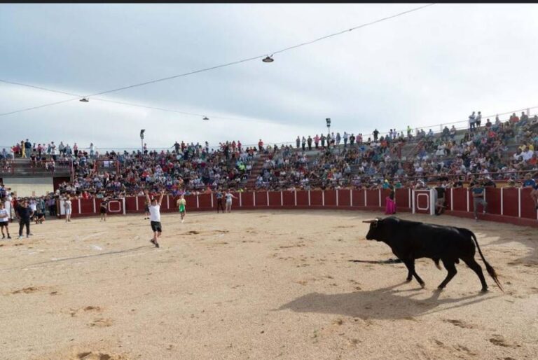 «Sinvergüenza» y «Tomatero», grandes protagonistas en Fresno el Viejo este fin de semana
