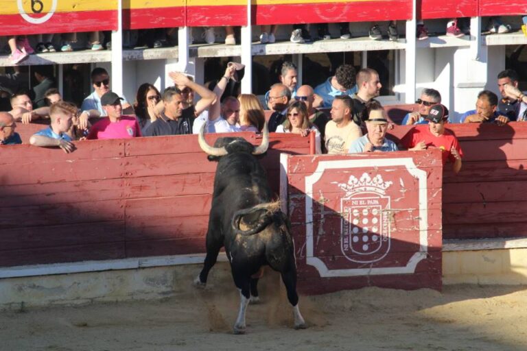 Galería de imágenes del festejo del Toro de la Feria de Medina del Campo