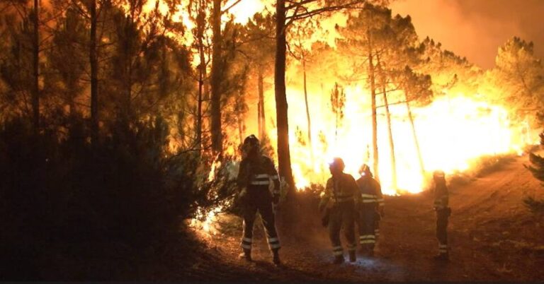 Incendio en Castilla y León