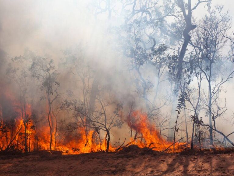 La Junta concede 293 nuevas ayudas de 500 euros a familias desalojadas por los incendios forestales