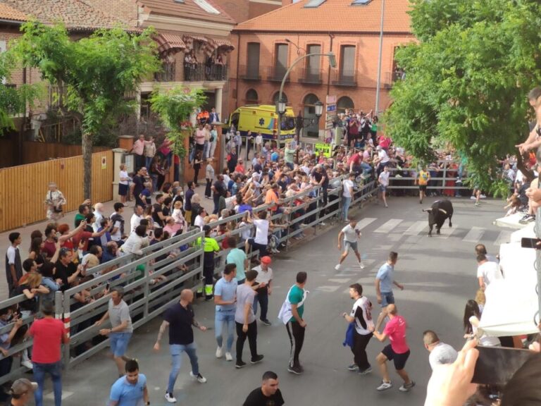 Medina del Campo inicia la cuenta atrás para el esperado «Toro de la Feria»