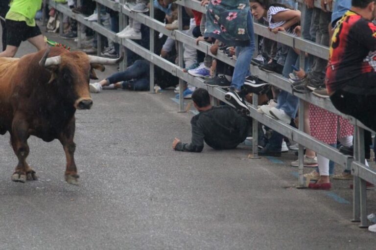 Cuenta atrás en Medina del Campo para la Feria de Espectáculos Taurinos