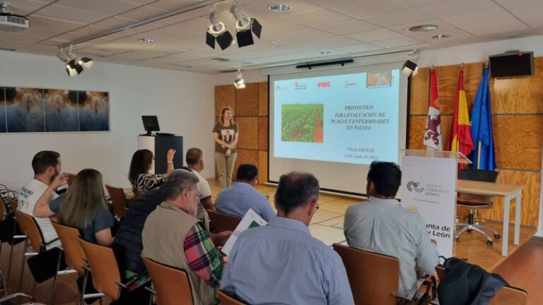 La Junta trabaja en la monitorización de plagas y enfermedades del cultivo de patata como estrategia de apoyo al sector productor