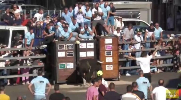toro del cajon en Medina del Campo