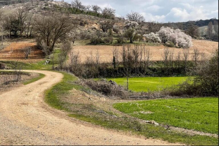 La Diputación de Valladolid destina 3,2 millones de euros a mejorar la red viaria agrícola