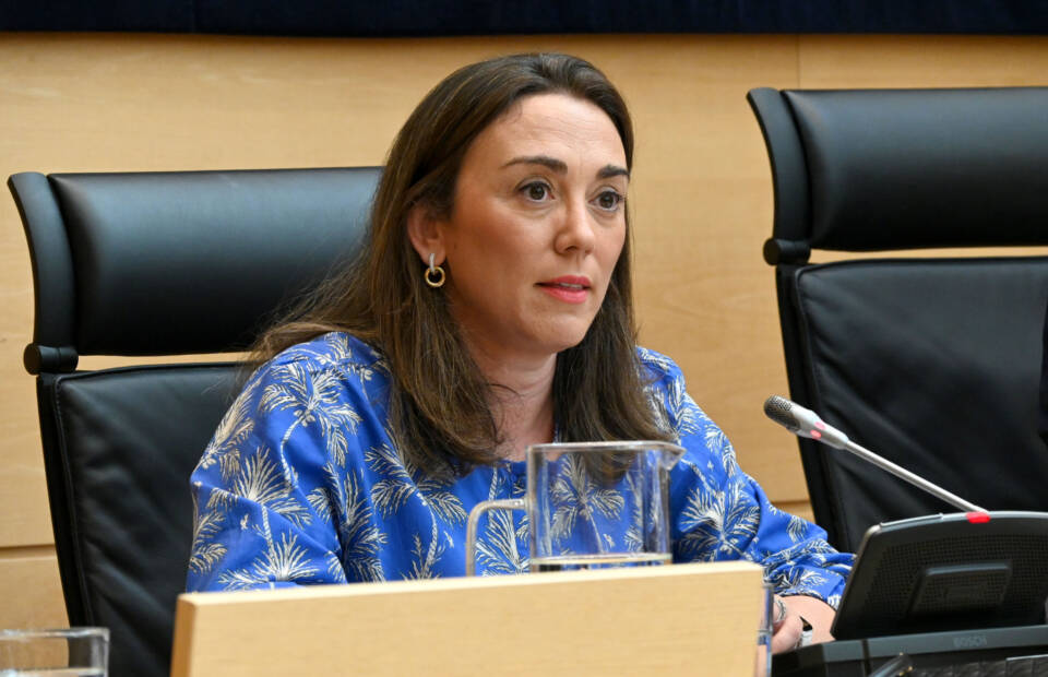 Consejera de Movilidad y Transformación Digital en Castilla y León