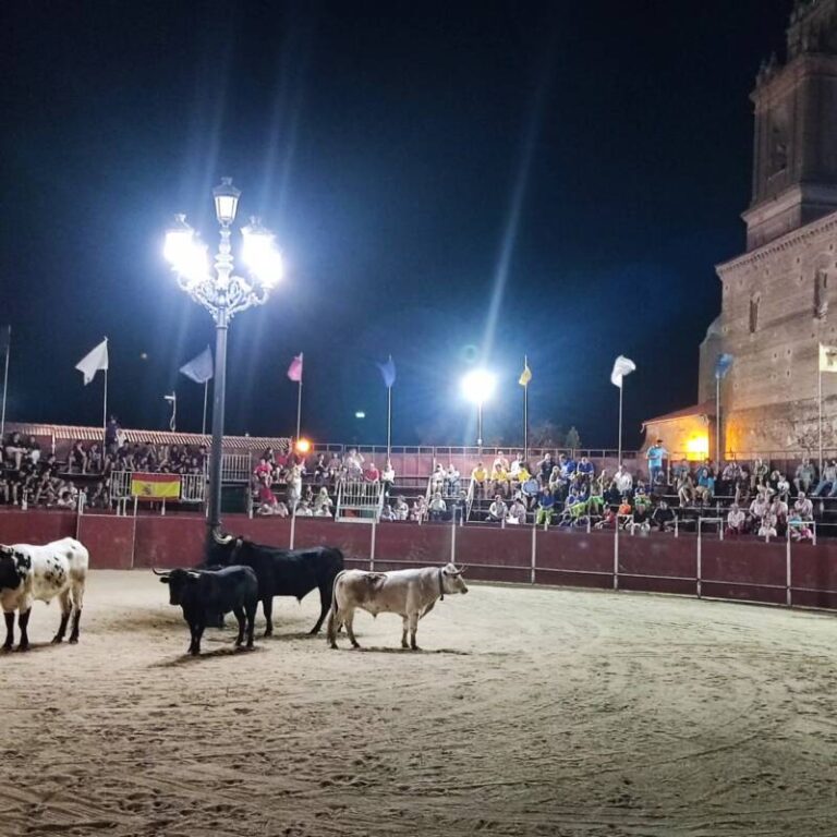 Una sardinada, encierros y discomovidas para celebrar las fiestas de «Los Novillos» en Pozaldez