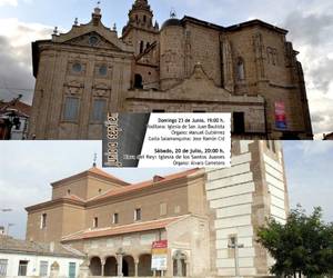 Los ecos del órgano resonarán en Nava del Rey y Lomoviejo este fin de semana
