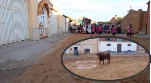 Un toro escapado deja un herido y desata el pánico en Villafrechós