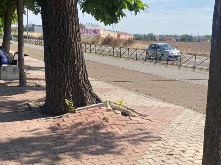 Tropiezo casi garantizado al caminar por este paseo 