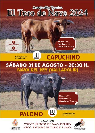 Nava del Rey ofrece un sábado de repleto de actividades como antesala de las fiestas de Los Novillos
