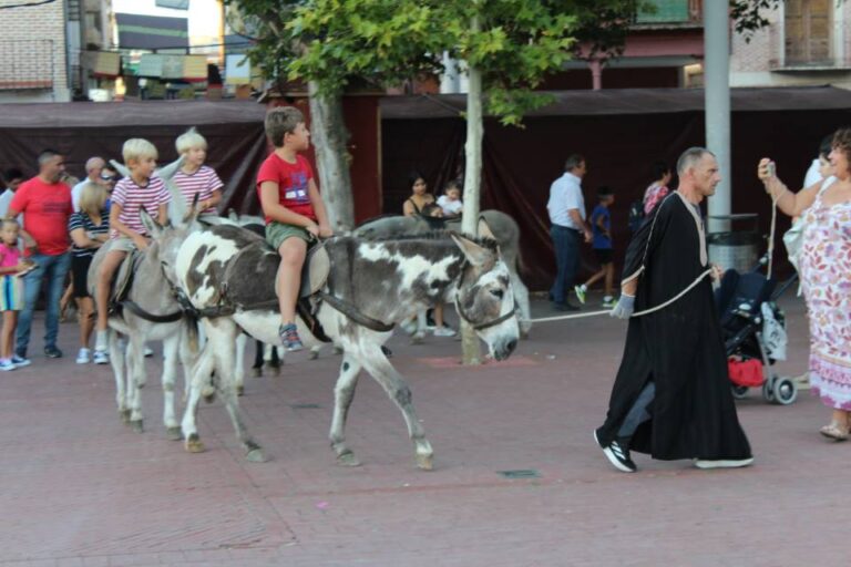 El Ayuntamiento de Medina del Campo defiende el bienestar de los animales y mantiene la programación de los paseos del mercado renacentista