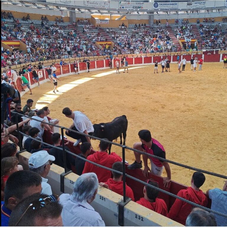 Íscar vive la intensidad de la tradición taurina en sus fiestas populares