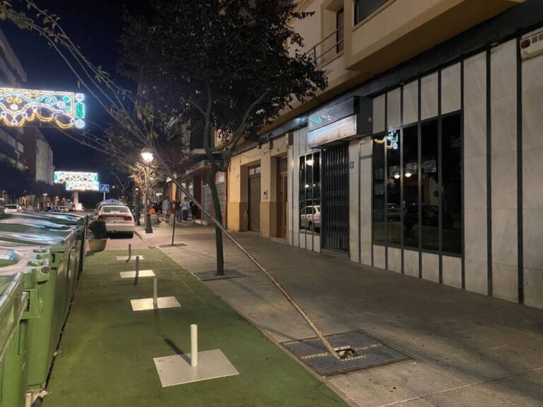 Sobre cuidar el entorno de Medina del Campo 