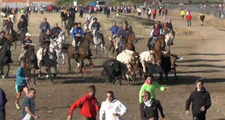 El quinto encierro en Medina del Campo cumple las expectativas con la entrada de los seis toros