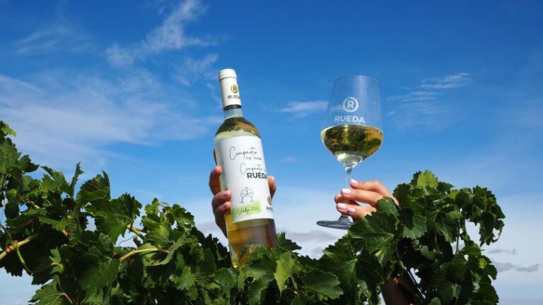 La Ruta del Vino de Rueda celebra el Día Mundial del Enoturismo con experiencias únicas en bodegas subterráneas y eventos gastronómicos
