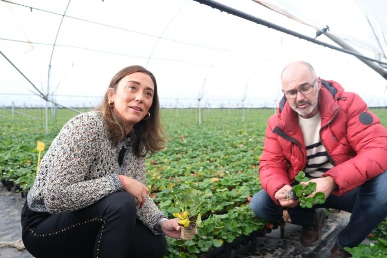 +CONSEJERA+AGRICULTURA+JORNADA+FRESAS+SEGOVIA-19 en Castilla y León