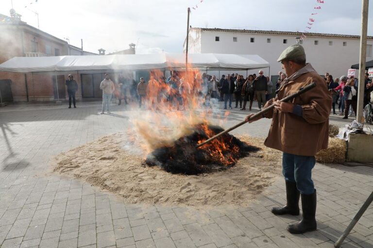 Éxito rotundo en la VIII Jornada de la Matanza en Valdestillas