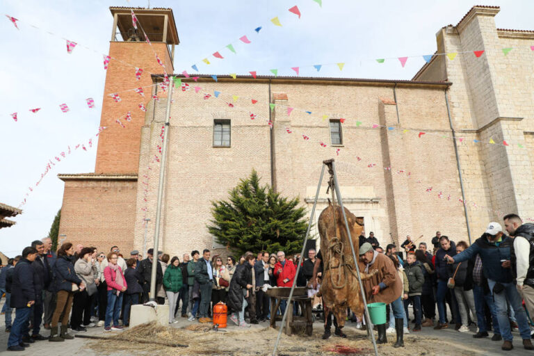 Valdestillas celebra la novena edición de su Fiesta de la Matanza