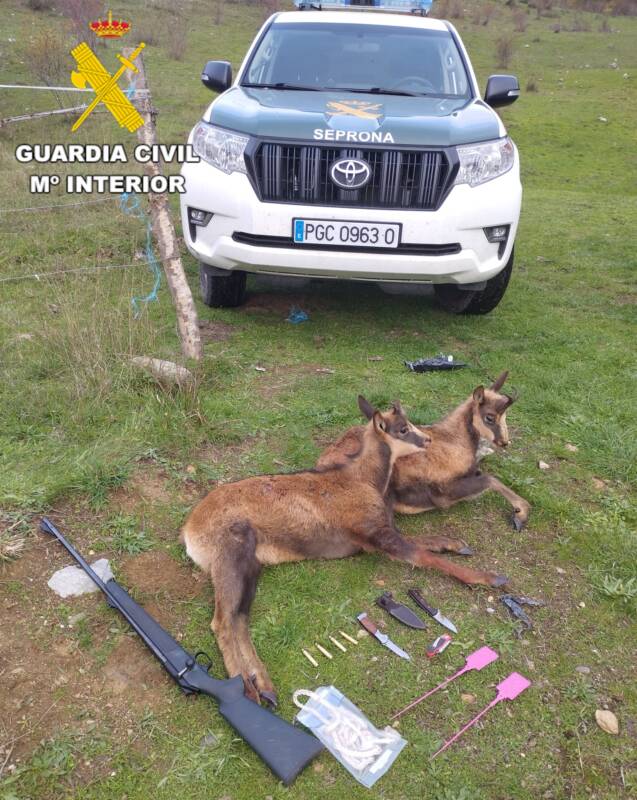 Tres cazadores identificados por caza furtiva y uso de métodos ilegales en el Parque Natural de Babia y Luna (León)