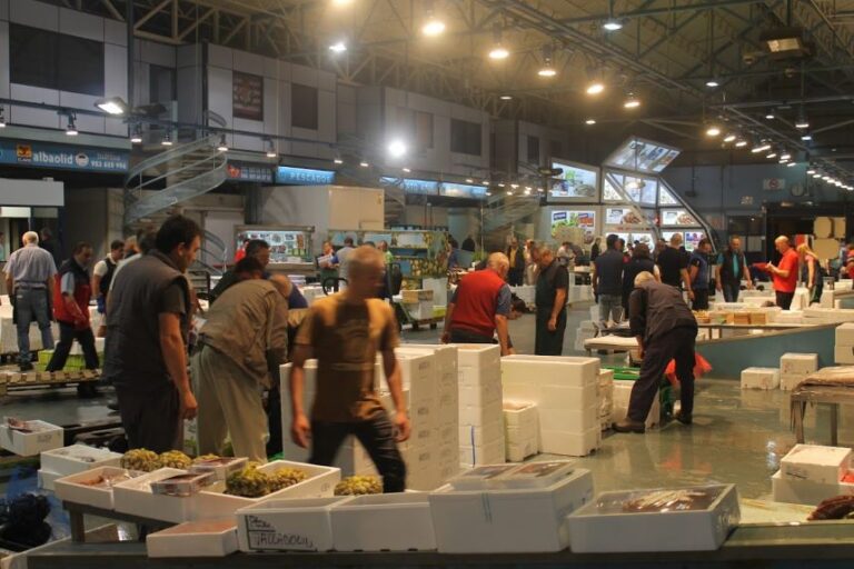 Valladolid impulsa un ambicioso HUB logístico agroalimentario para liderar la innovación y el desarrollo económico hasta 2050