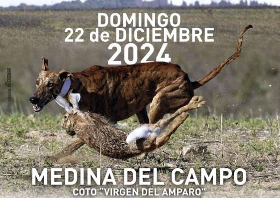 Medina del Campo acoge los octavos de final de la Prueba de Campo 2024